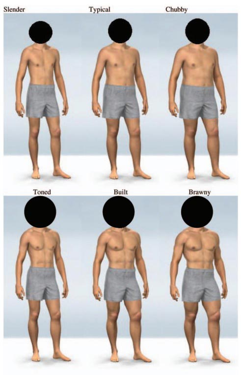 types of muscular men